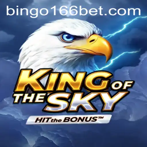 KingOfTheSky: Exploring the Thrilling World of Bingo166